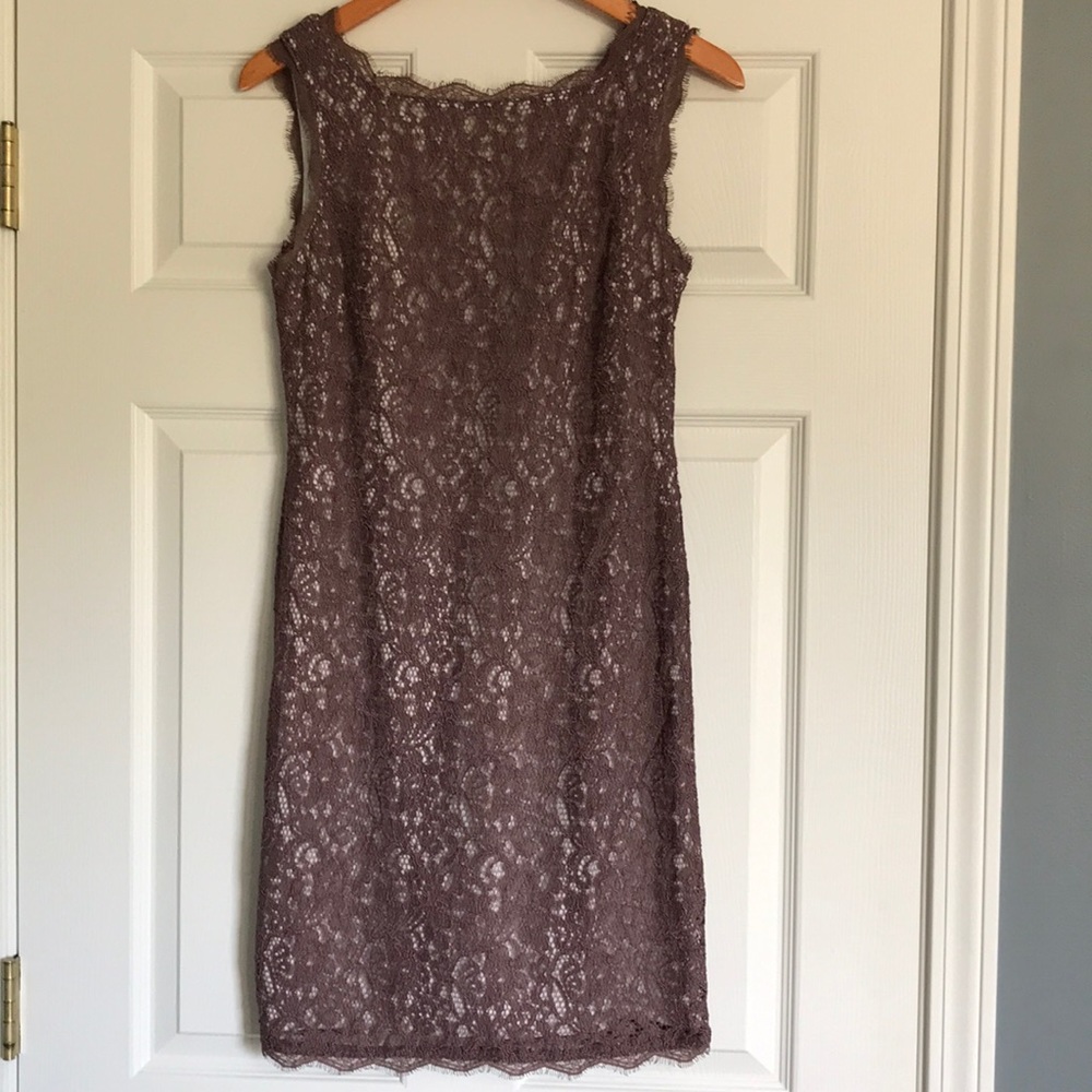 Adrianna Papell Mauve Lace Zipper Dress